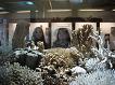 Naturhistorisches Museum