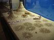 Naturhistorisches Museum